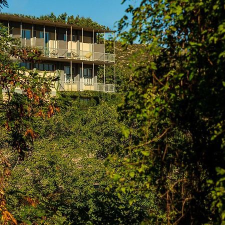 Theoxenia Hotel Andritsaina Exterior photo
